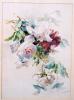 Rosenaquarell 2