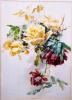 Rosenaquarell 3